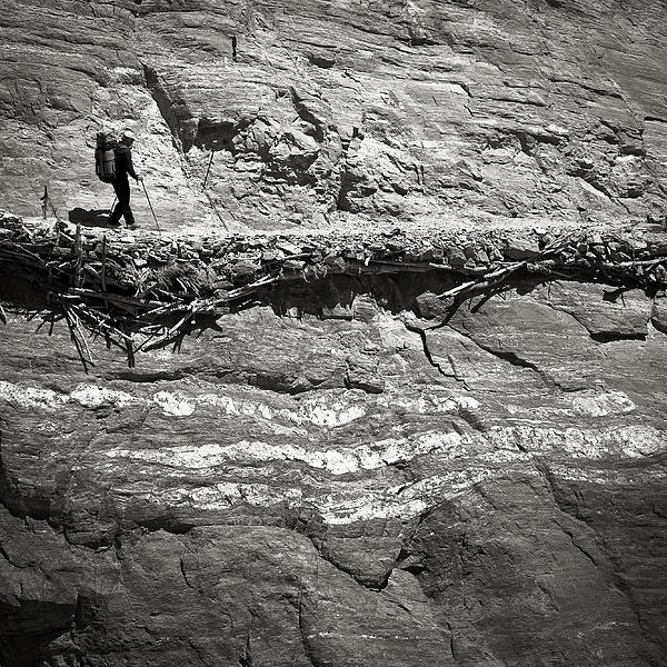 The Path Photograph